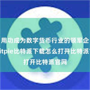   用功成为数字货币行业的领军企业bitpie比特派下载怎么打开比特派官网